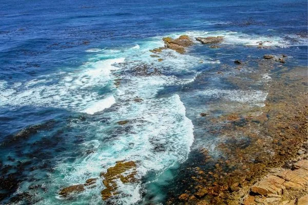 Corrientes oceanográficas del mundo